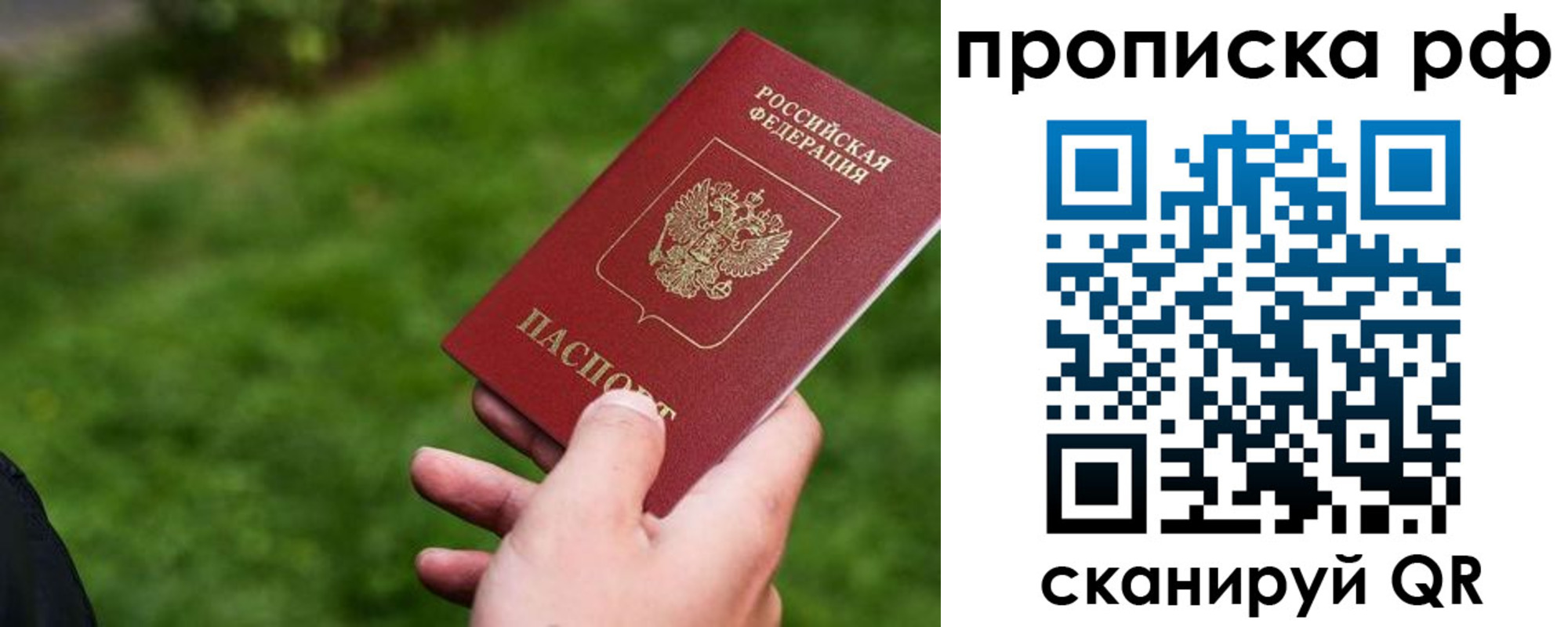 прописка для работы в Купино